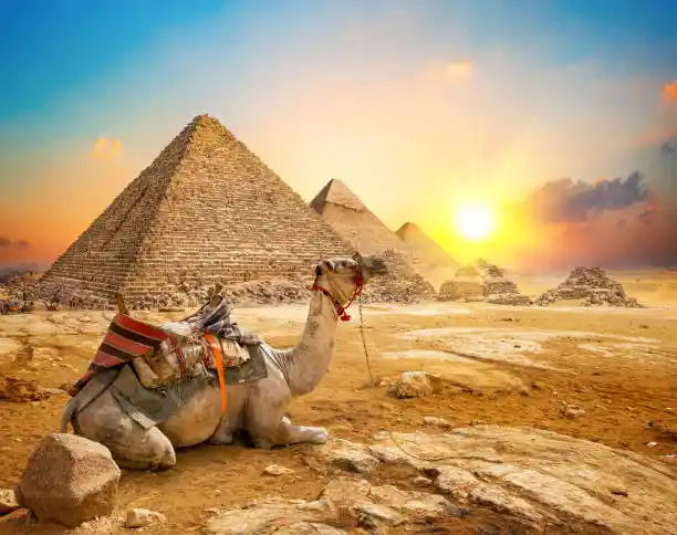 Day Tour Giza Pyramids, Memphis & Sakkara